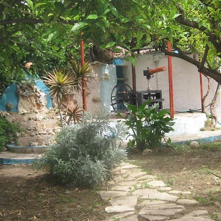 Theodora Apart otel Makrýgialos Dış mekan fotoğraf
